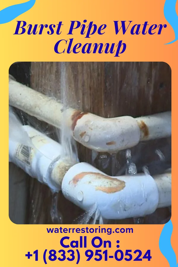 Burst Pipe Water Cleanup in Rudolph, WI