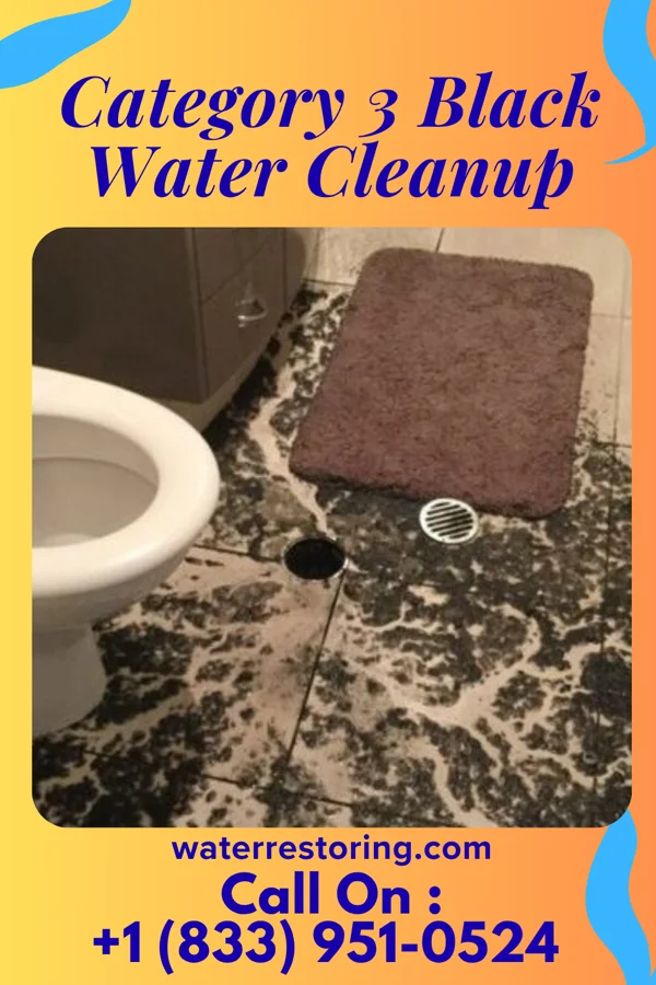 Category 3 Black Water Cleanup in Rudolph, WI