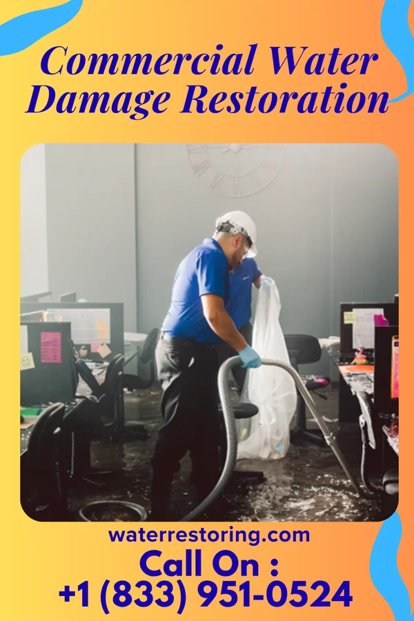 Commercial Water Damage Restoration in Rudolph, WI
