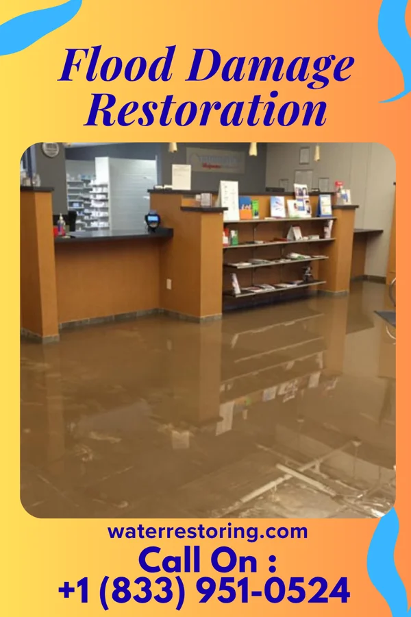 Flood Damage Restoration in Rudolph, WI
