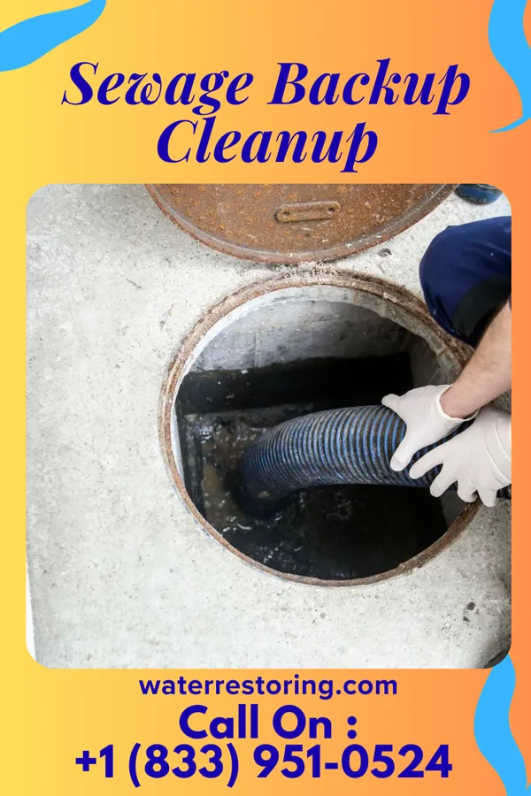 Sewage Backup Cleanup in Rudolph, WI