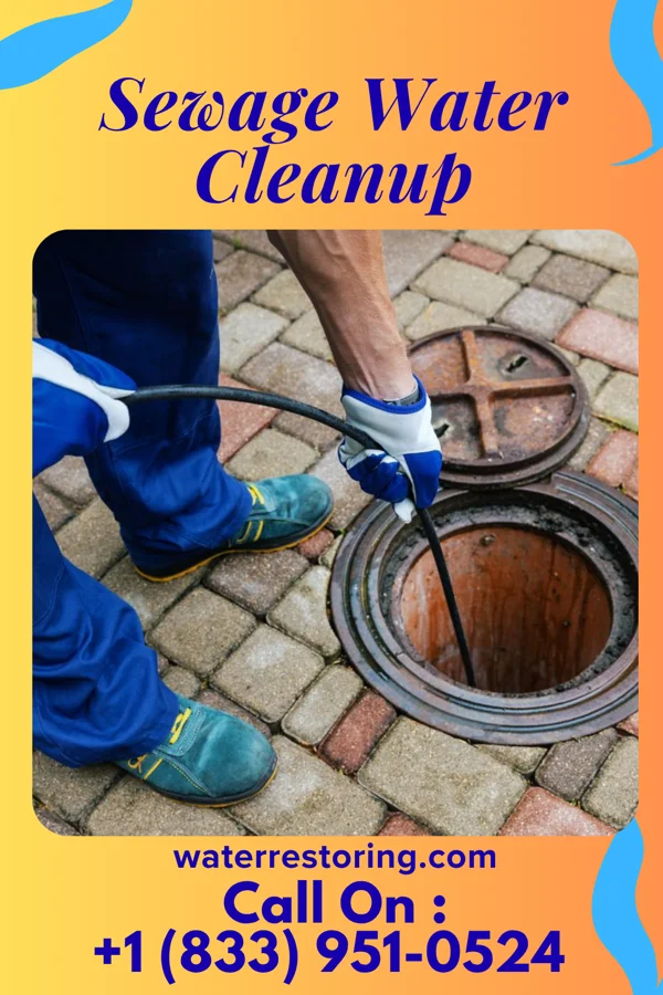 Sewage Water Cleanup in Rudolph, WI
