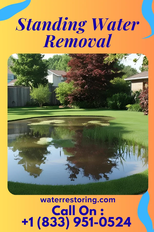 Standing Water Removal in Rudolph, WI